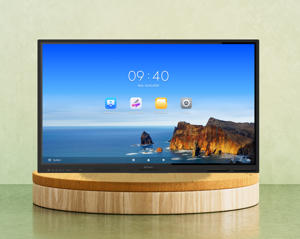 Interactive Flat Panels