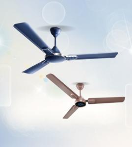 Ceiling Fans