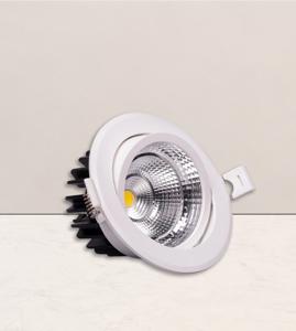 LED Downlights
