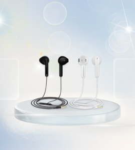 Earphones
