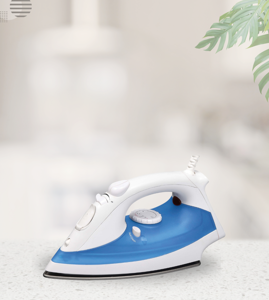 Electric Iron