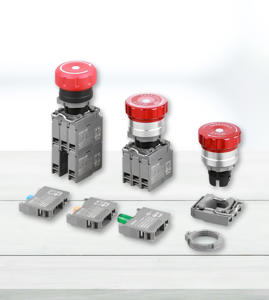 Industrial Switches & Controls