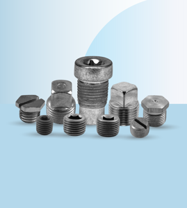 Pipe Plugs