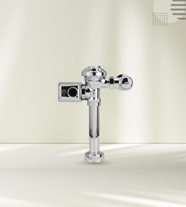 Flush Valves